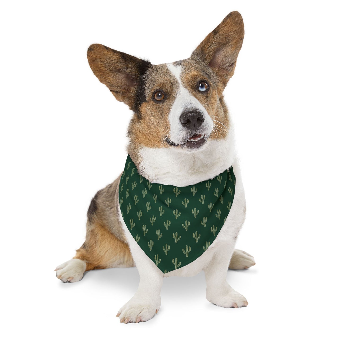 Green Cactus | Pet Bandana Collar