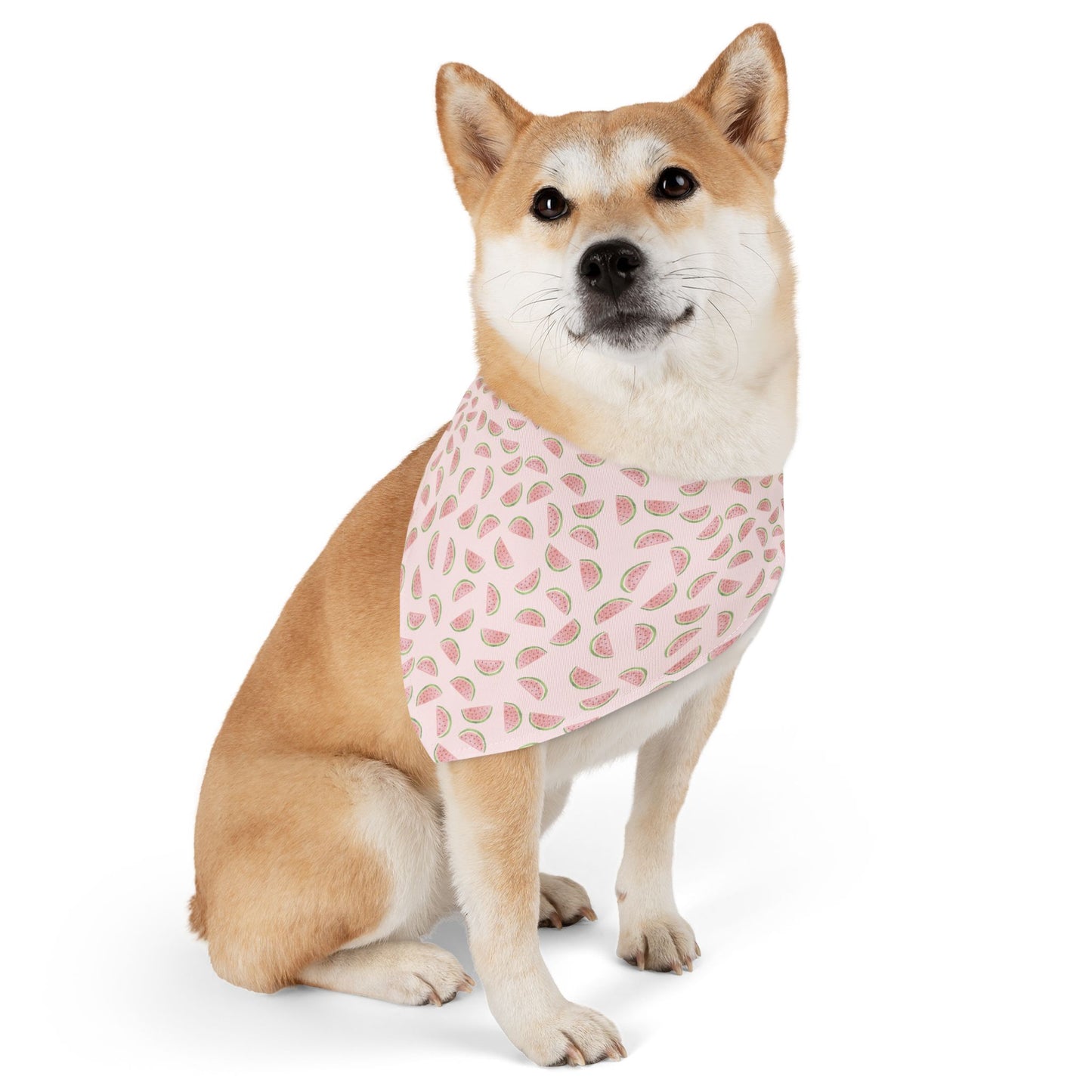 Watermelon Sugar | Pet Bandana Collar