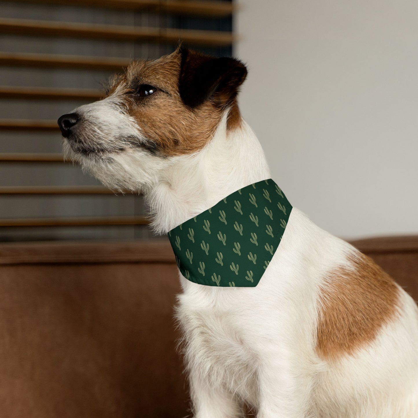 Green Cactus | Pet Bandana Collar