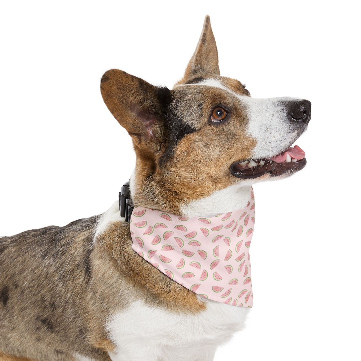 Watermelon Sugar | Pet Bandana Collar