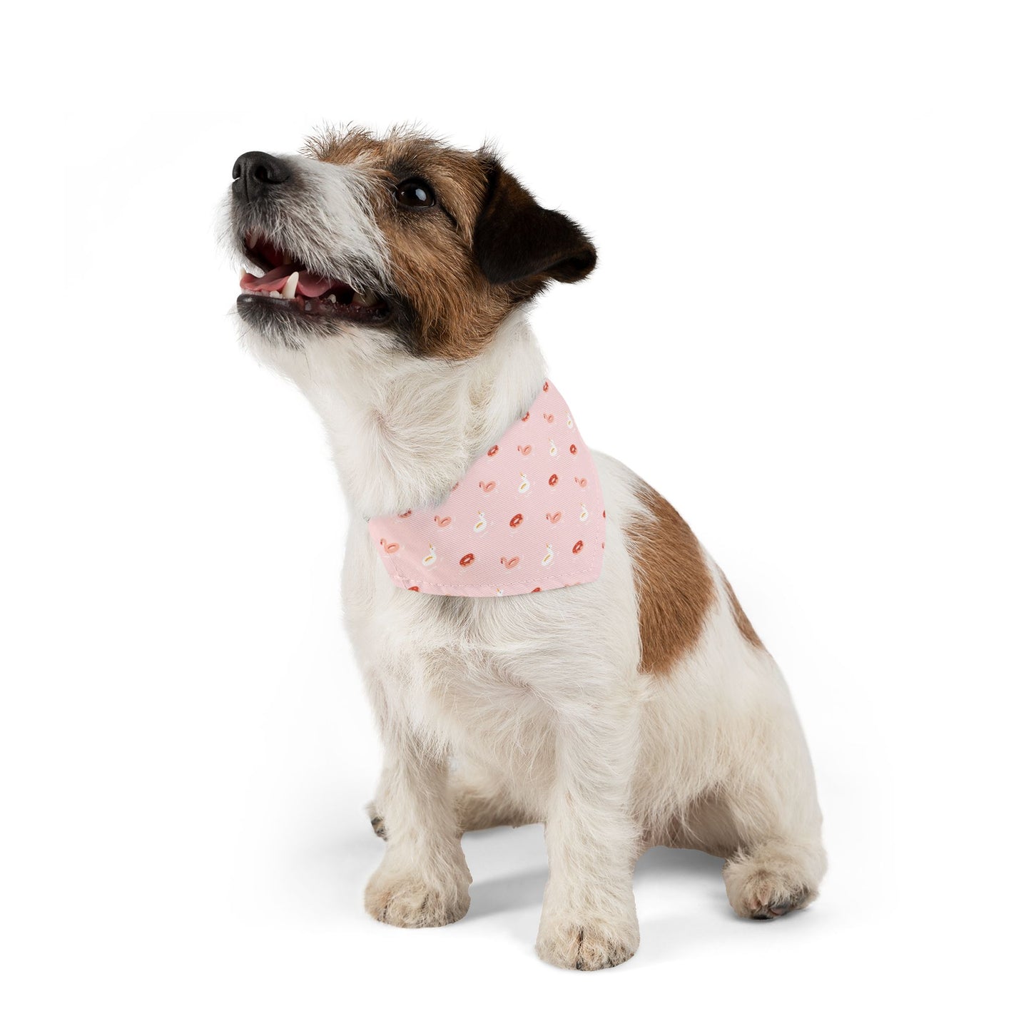 Flamingo Floatie | Pet Bandana Collar