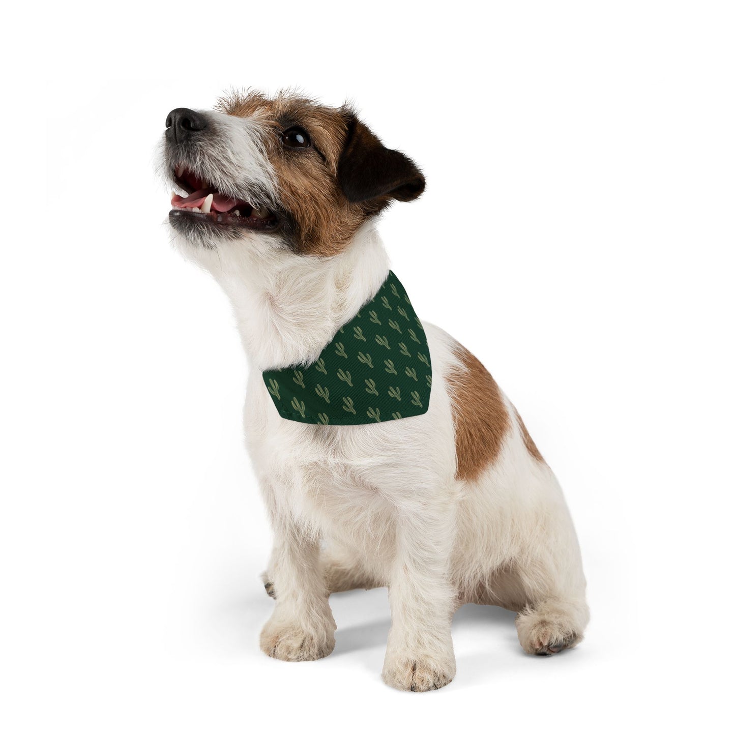 Green Cactus | Pet Bandana Collar