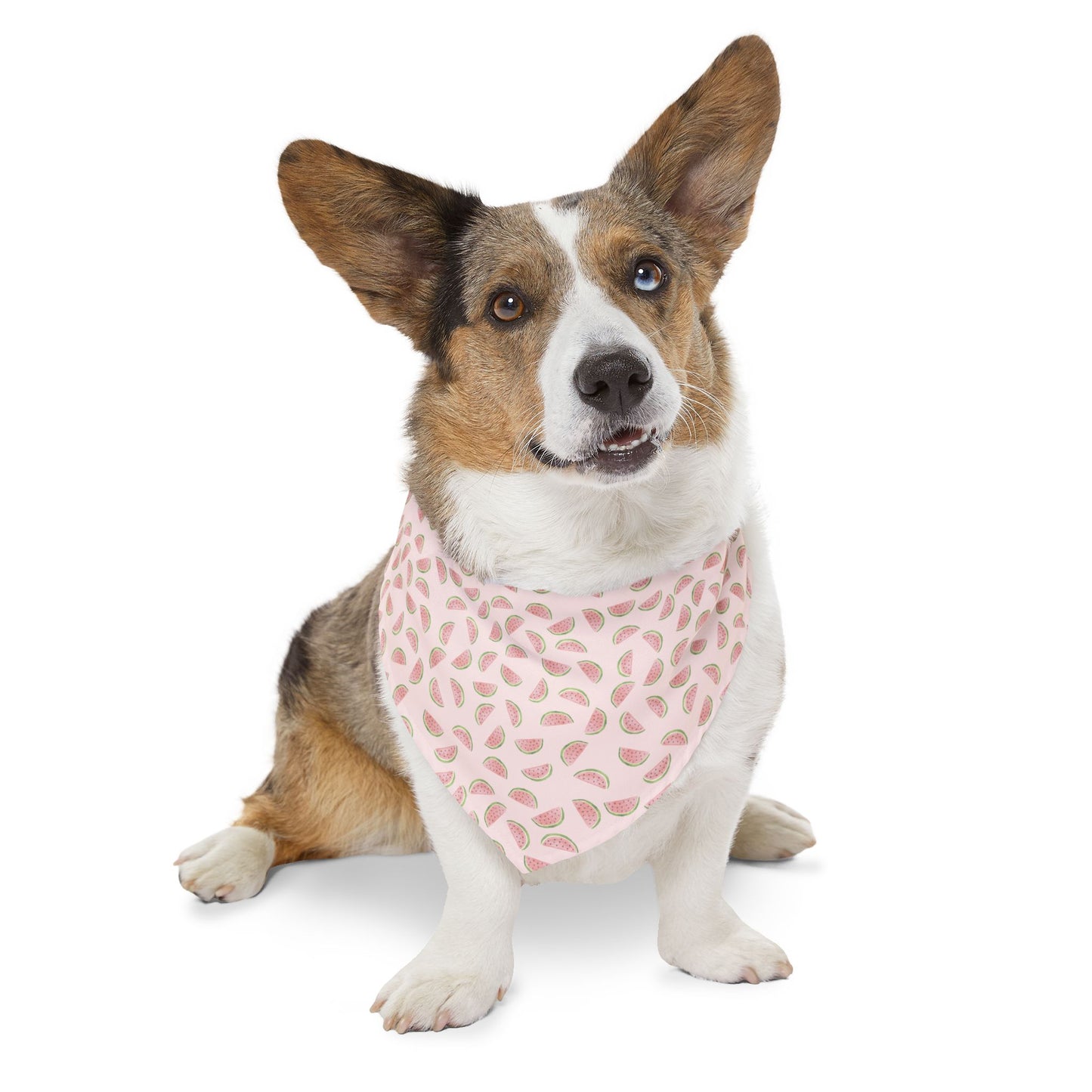 Watermelon Sugar | Pet Bandana Collar