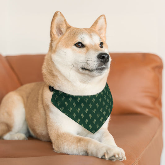 Green Cactus | Pet Bandana Collar