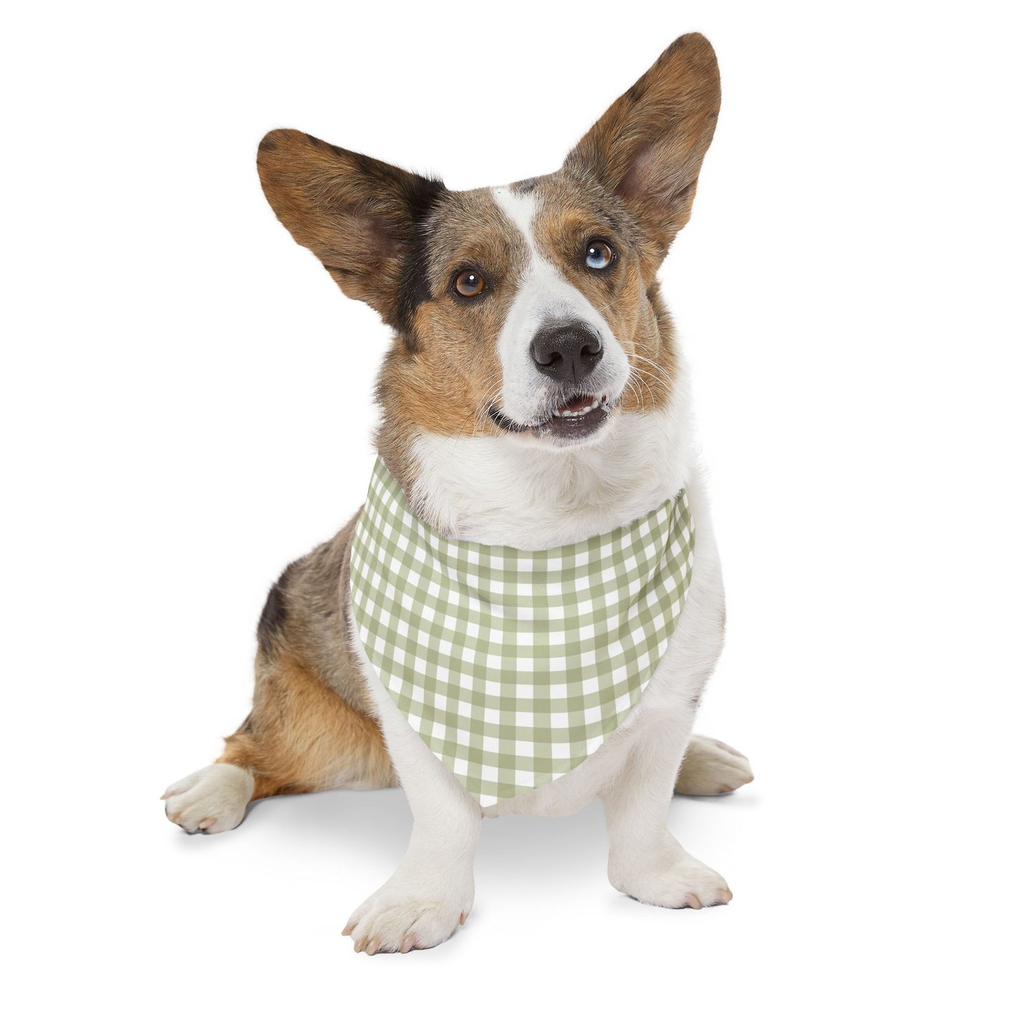 Green Gingham | Pet Bandana Collar