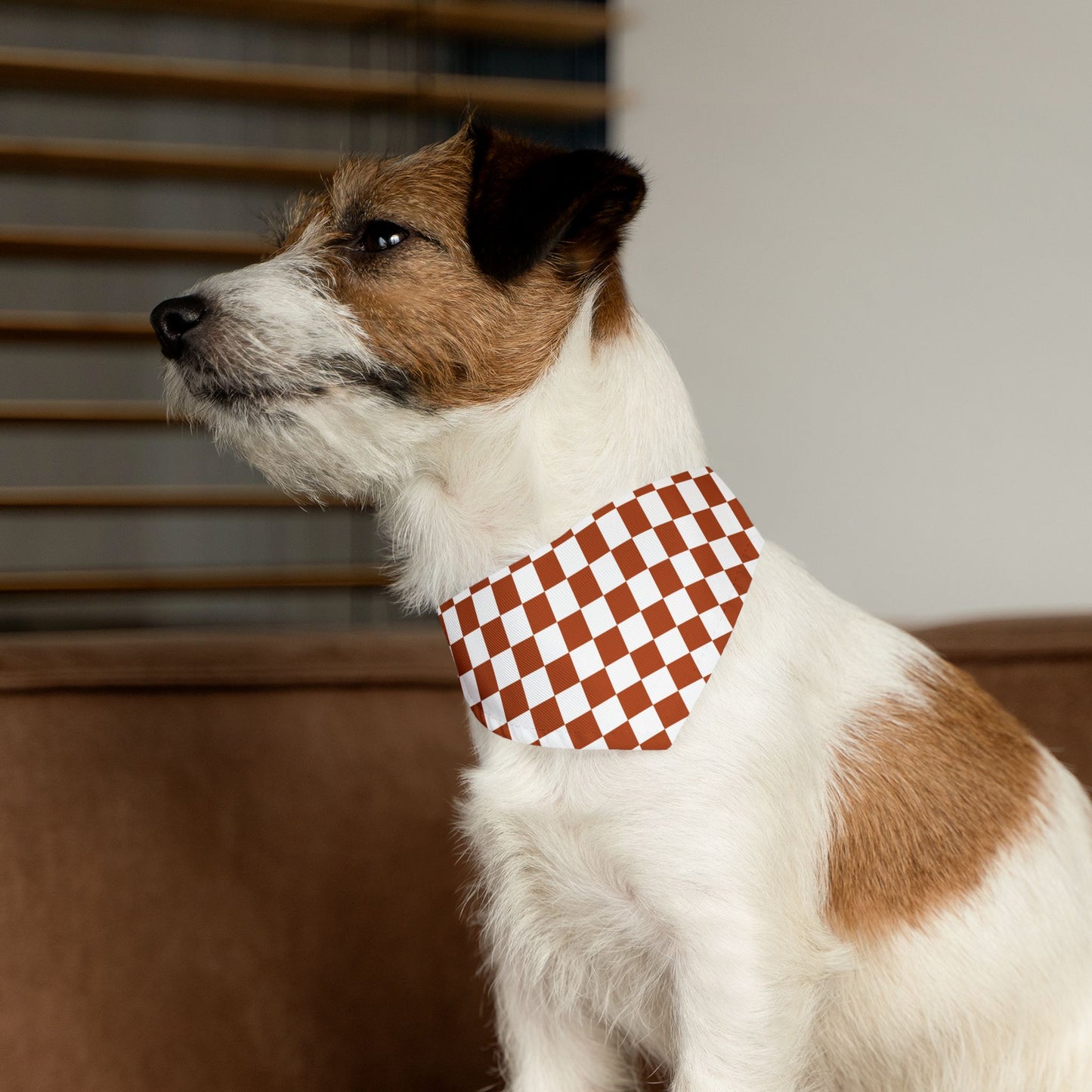 Vintage Red Checkered | Pet Bandana Collar