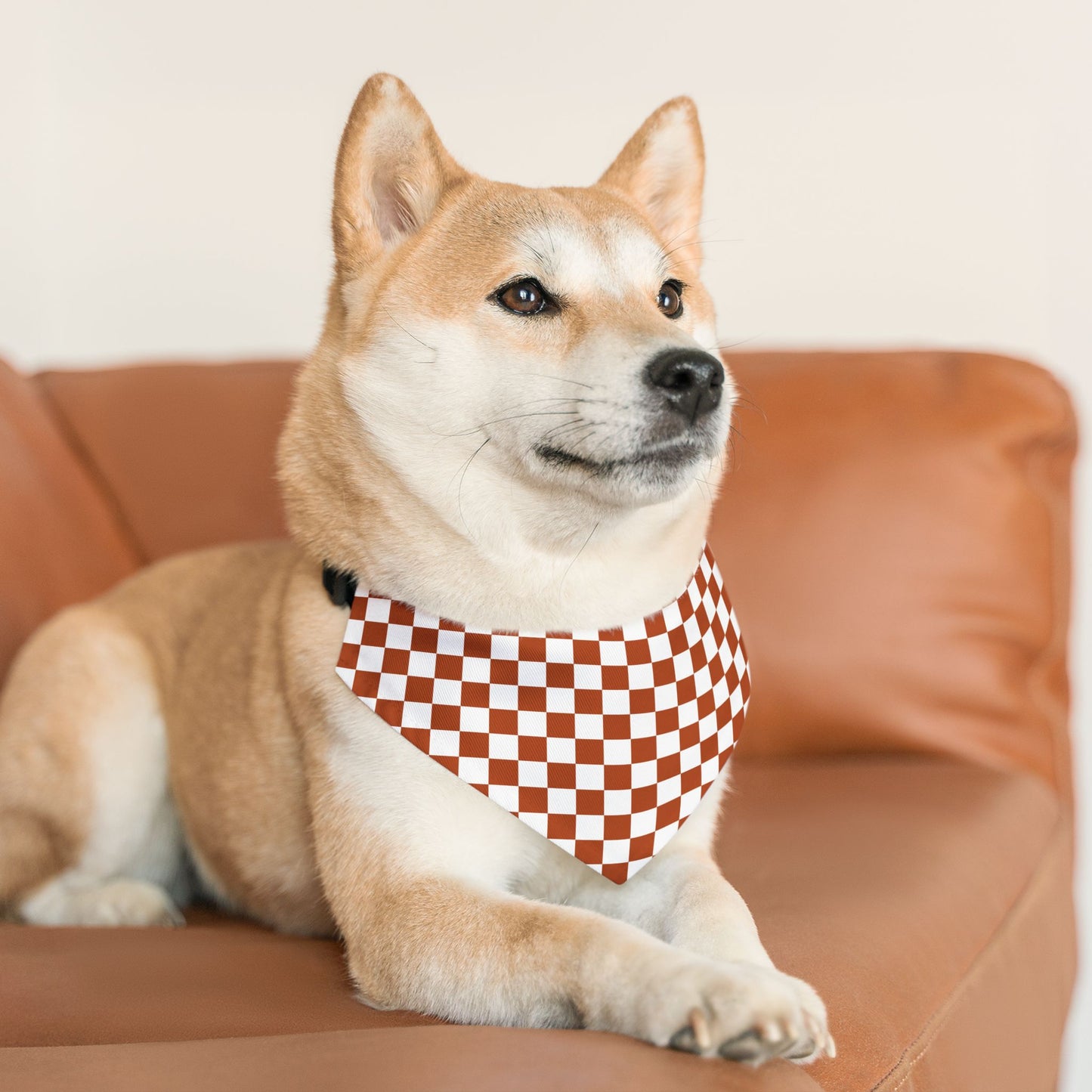 Vintage Red Checkered | Pet Bandana Collar