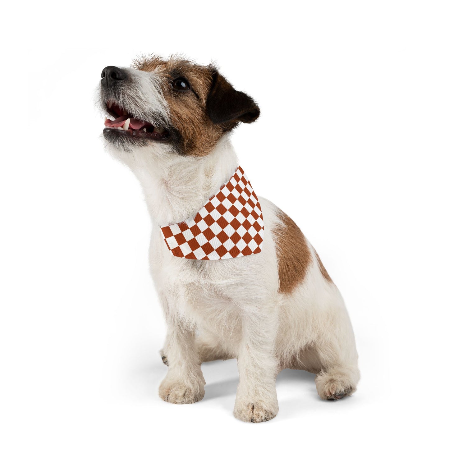 Vintage Red Checkered | Pet Bandana Collar