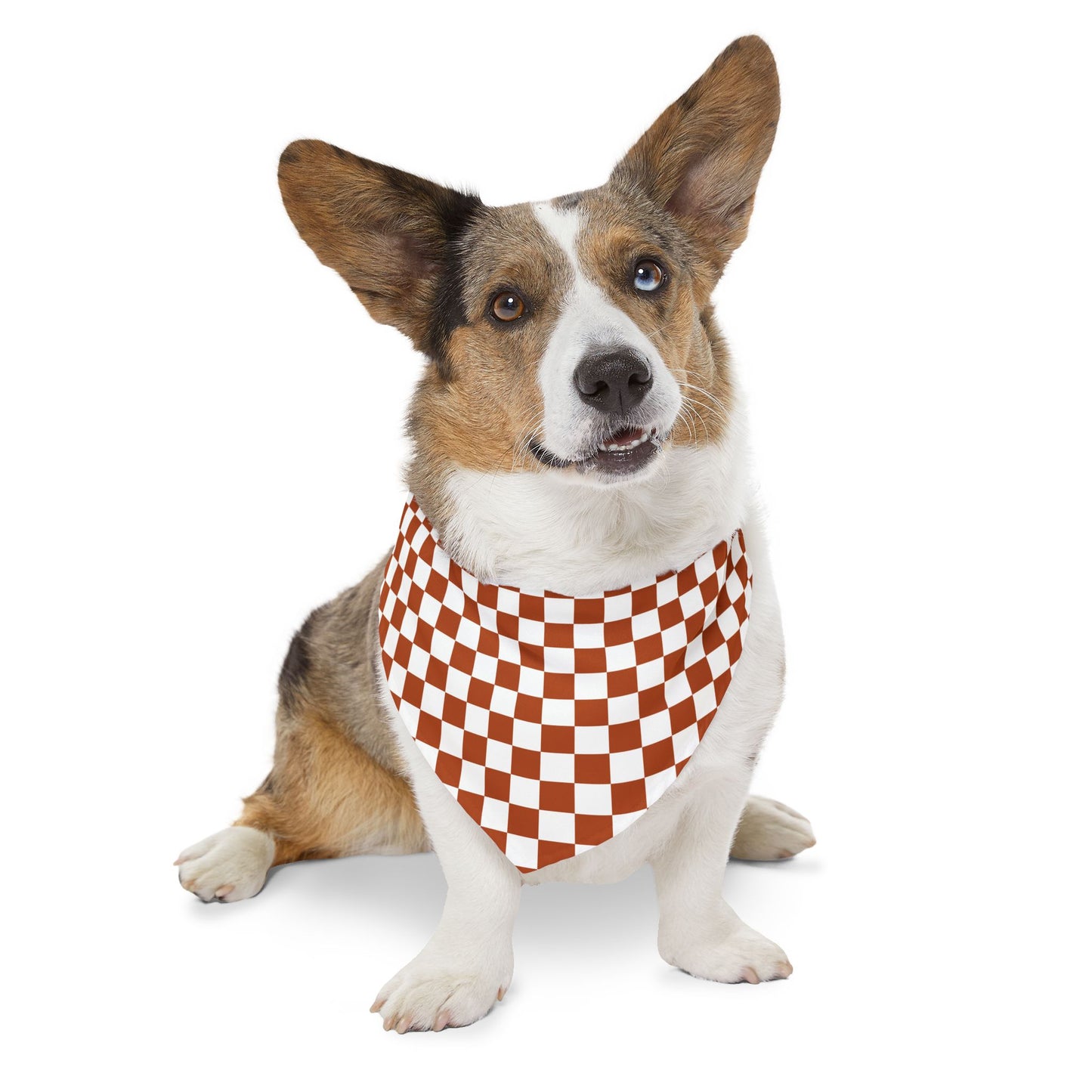 Vintage Red Checkered | Pet Bandana Collar