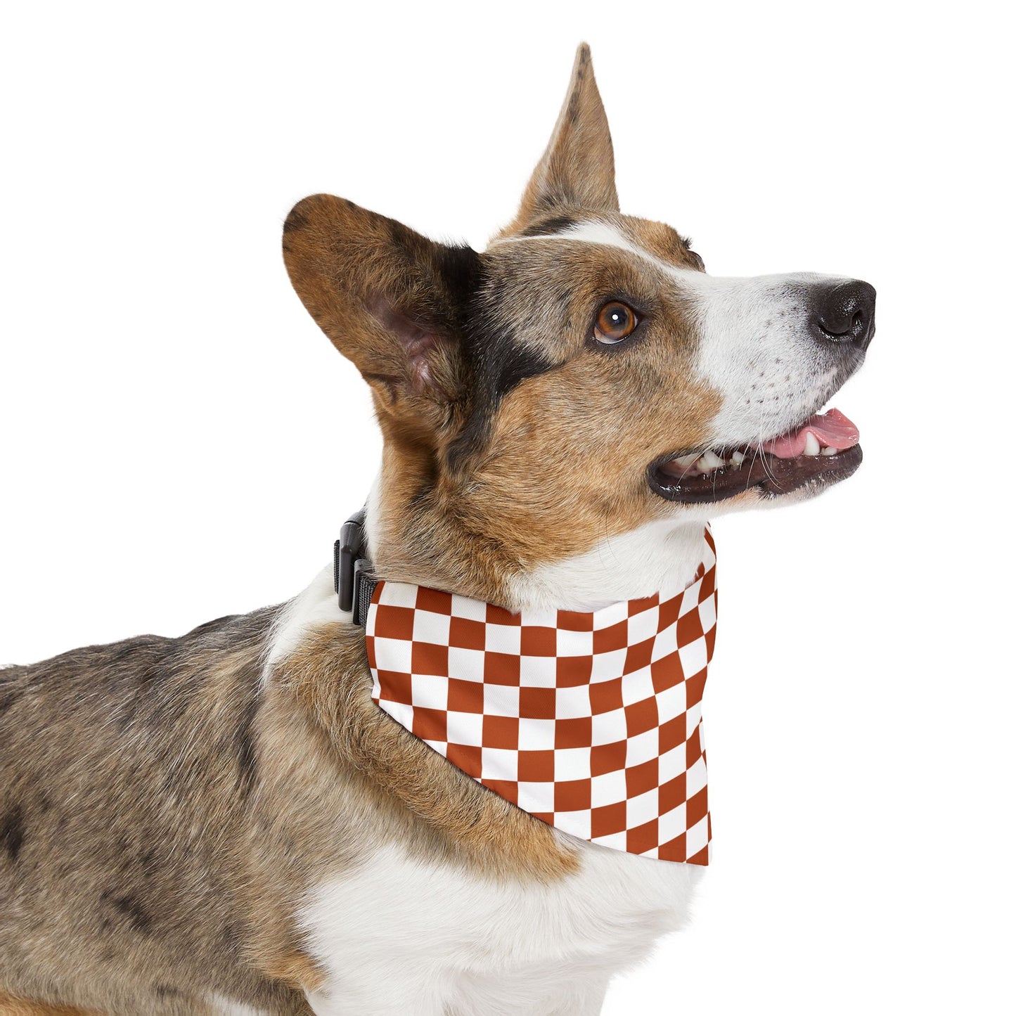 Vintage Red Checkered | Pet Bandana Collar