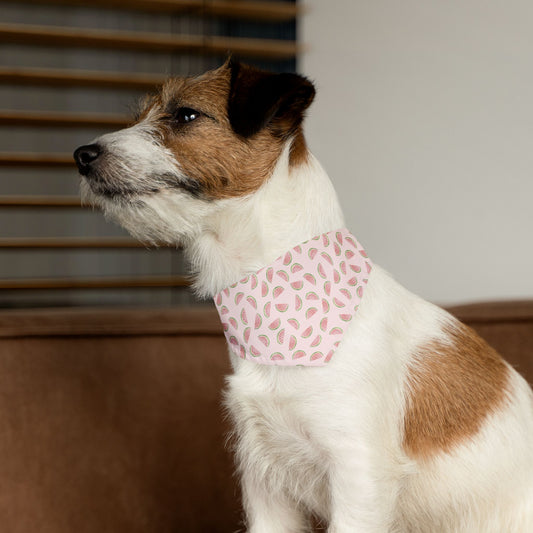 Watermelon Sugar | Pet Bandana Collar